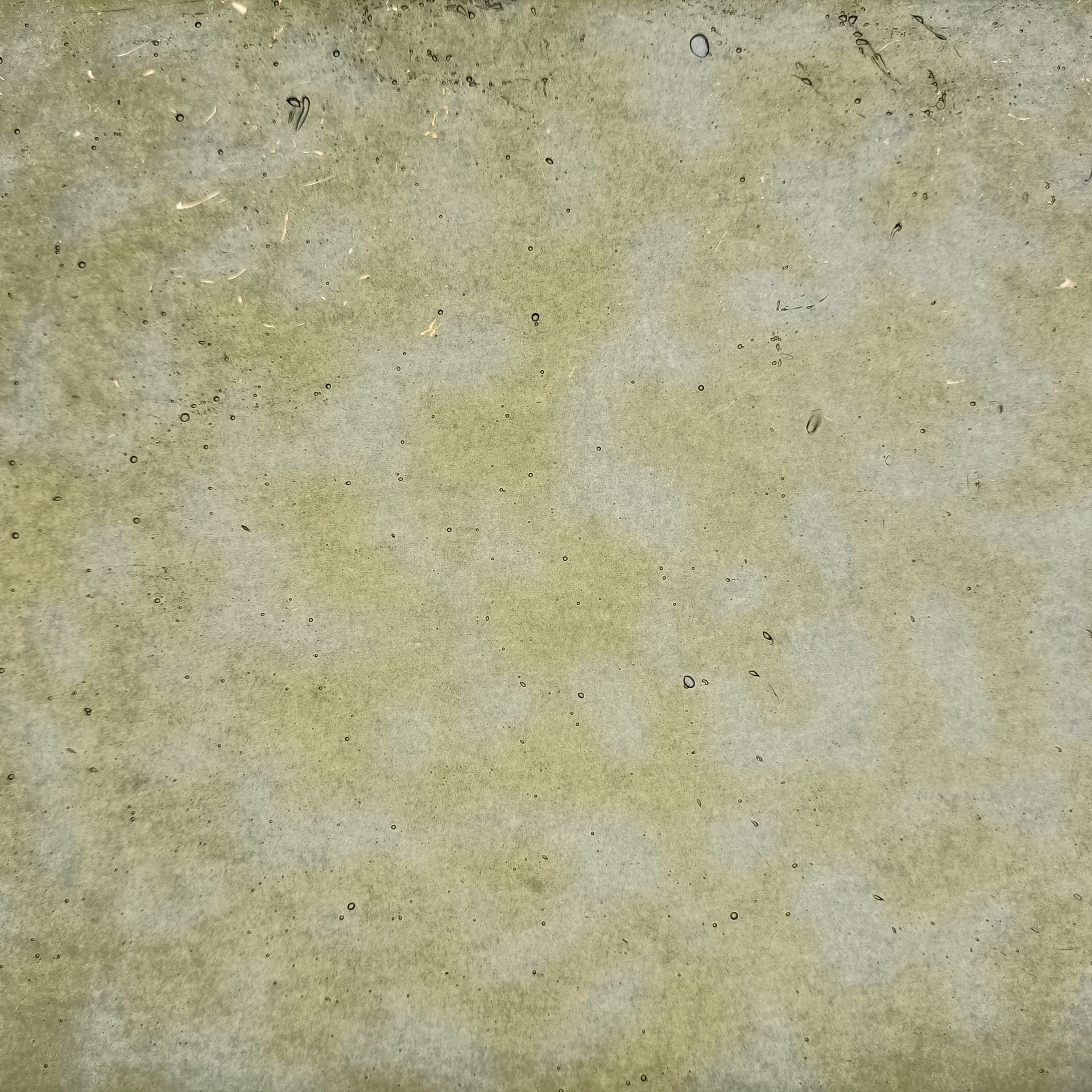 Old Flemish - Yellow