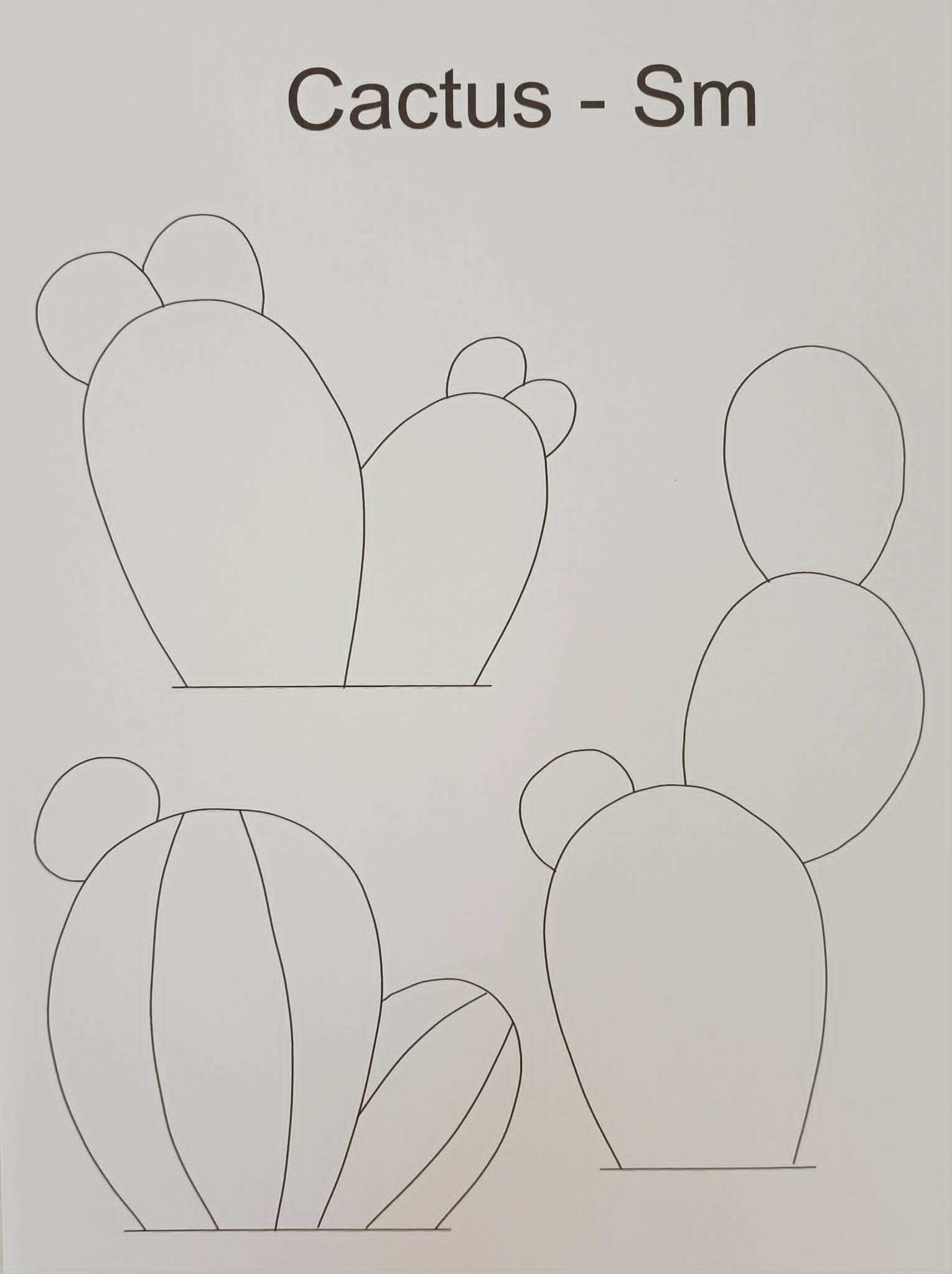 Kit Set - Cactus