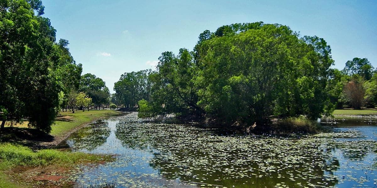 A Large Body Of Water Surrounded By Trees On A Sunny Day — Aust Outback Pest Co In Palmerston, NT