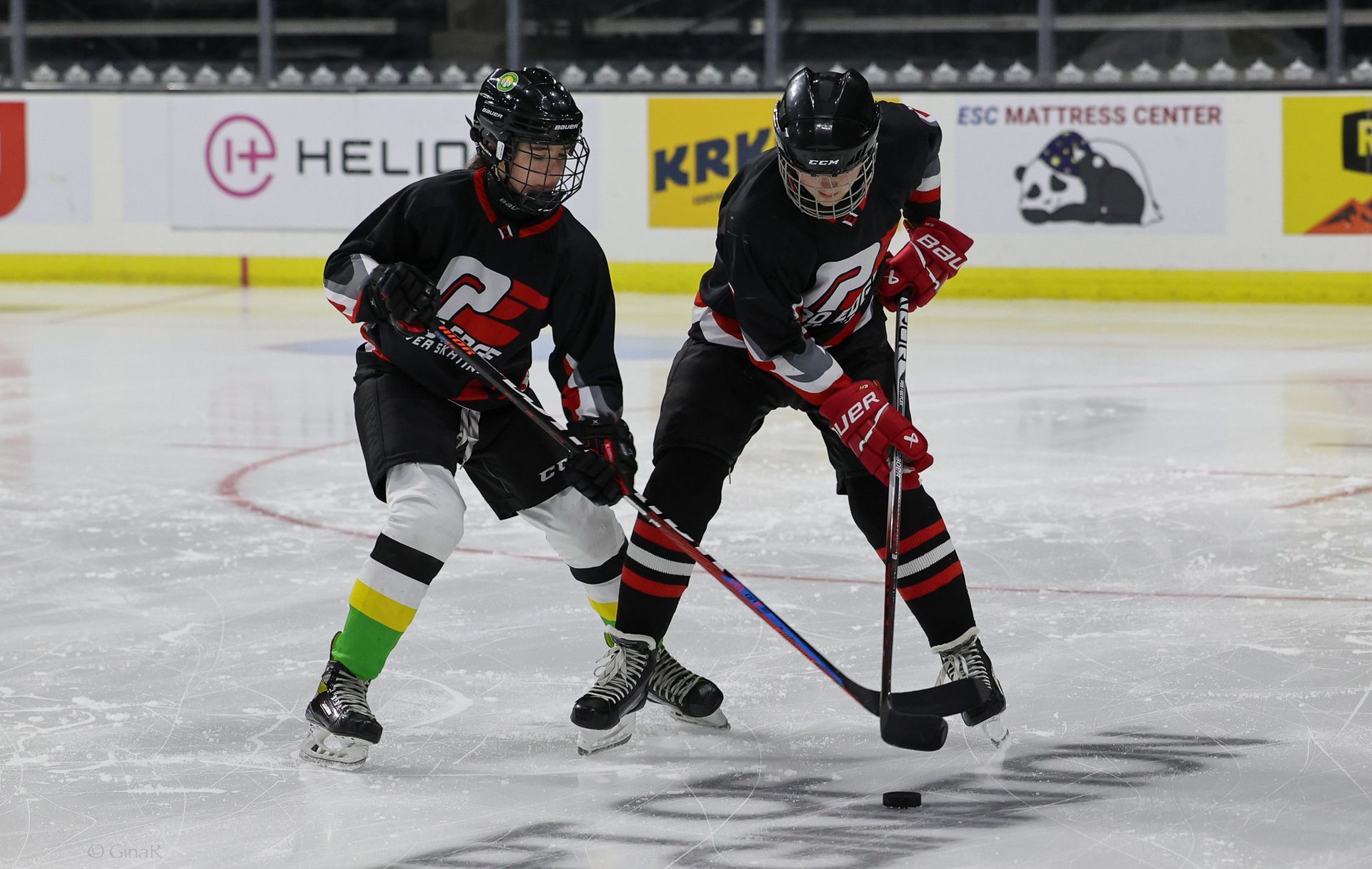 Two hockey players are fighting for the puck on the ice.