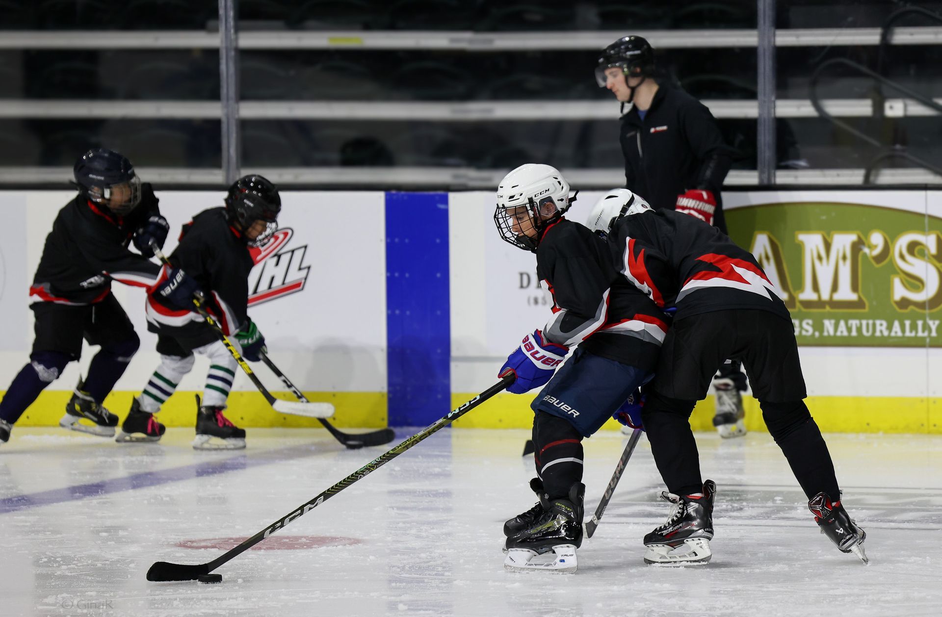 A group of young boys are playing ice hockey on a rink.