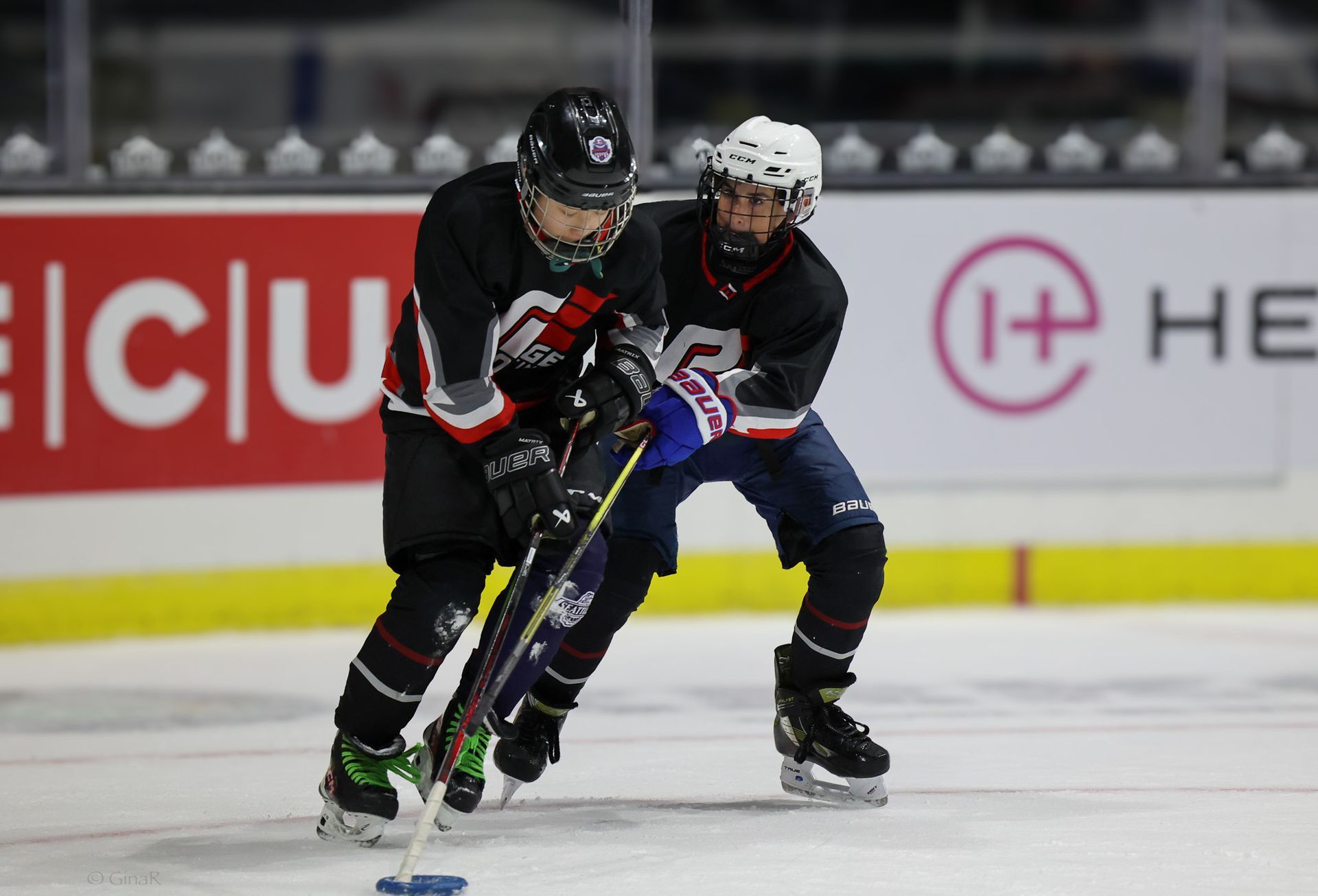 Two hockey players are fighting for the puck on the ice.
