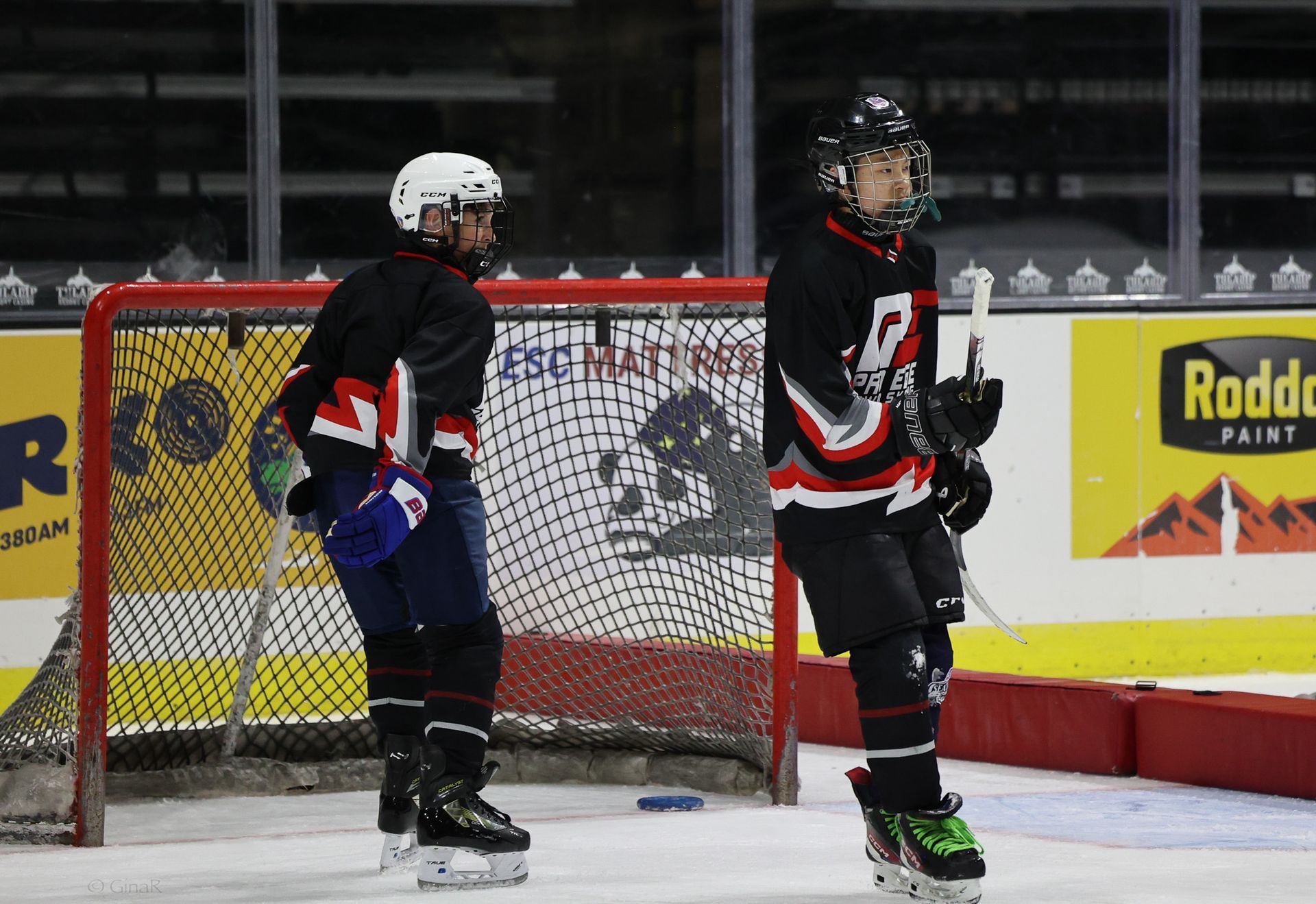 Two hockey players are standing on the ice in front of a goal.