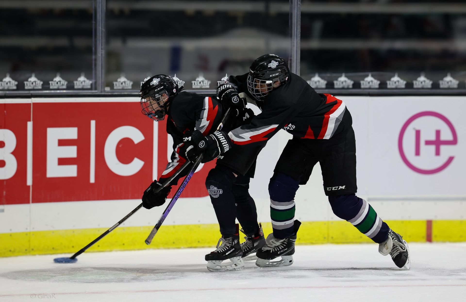 Two hockey players are fighting for the puck on the ice.