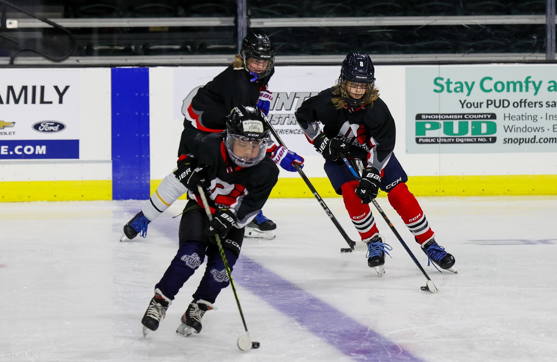 A group of young girls are playing ice hockey on a rink.