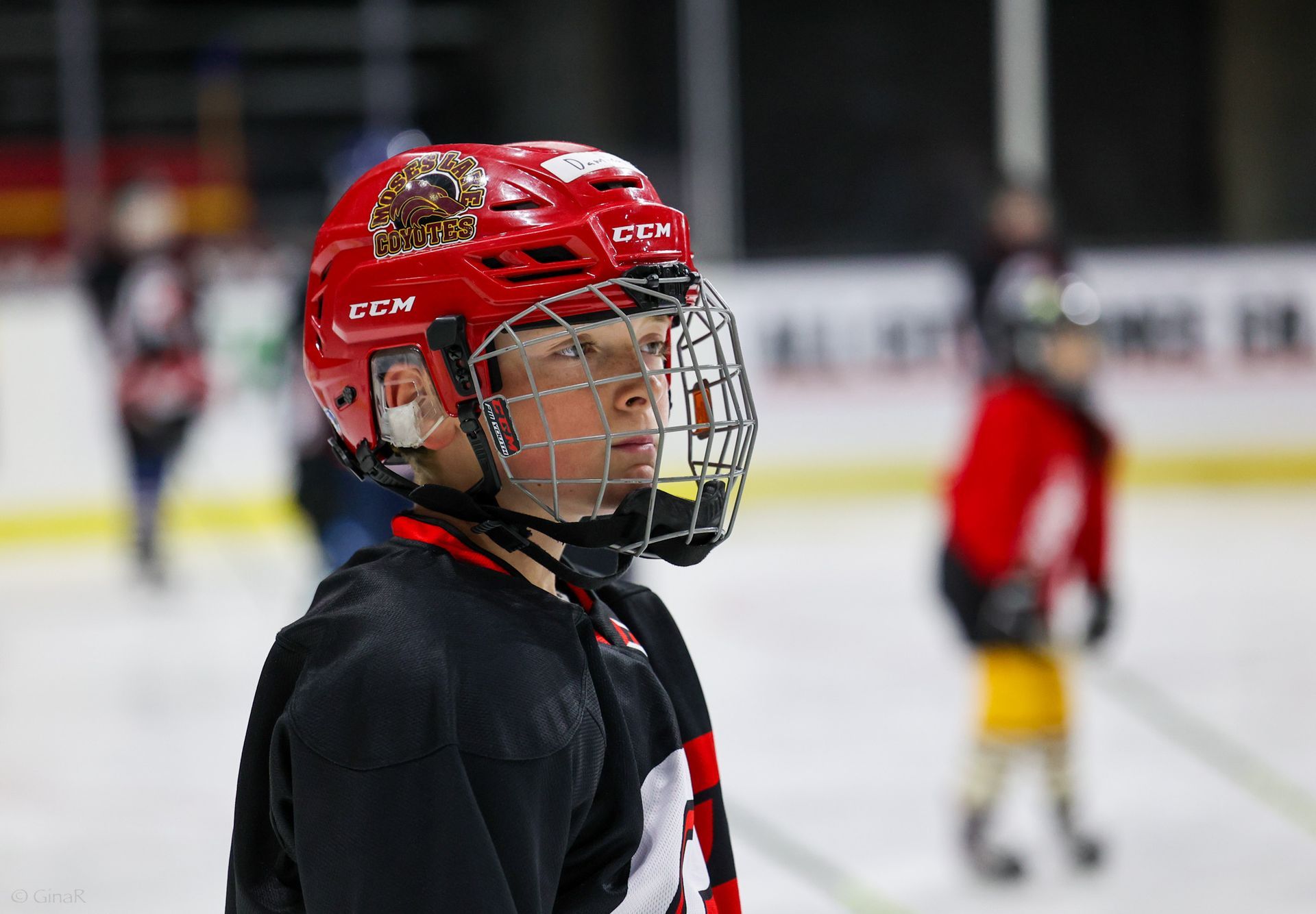 A young boy wearing a red helmet and a mask is standing on a hockey rink.