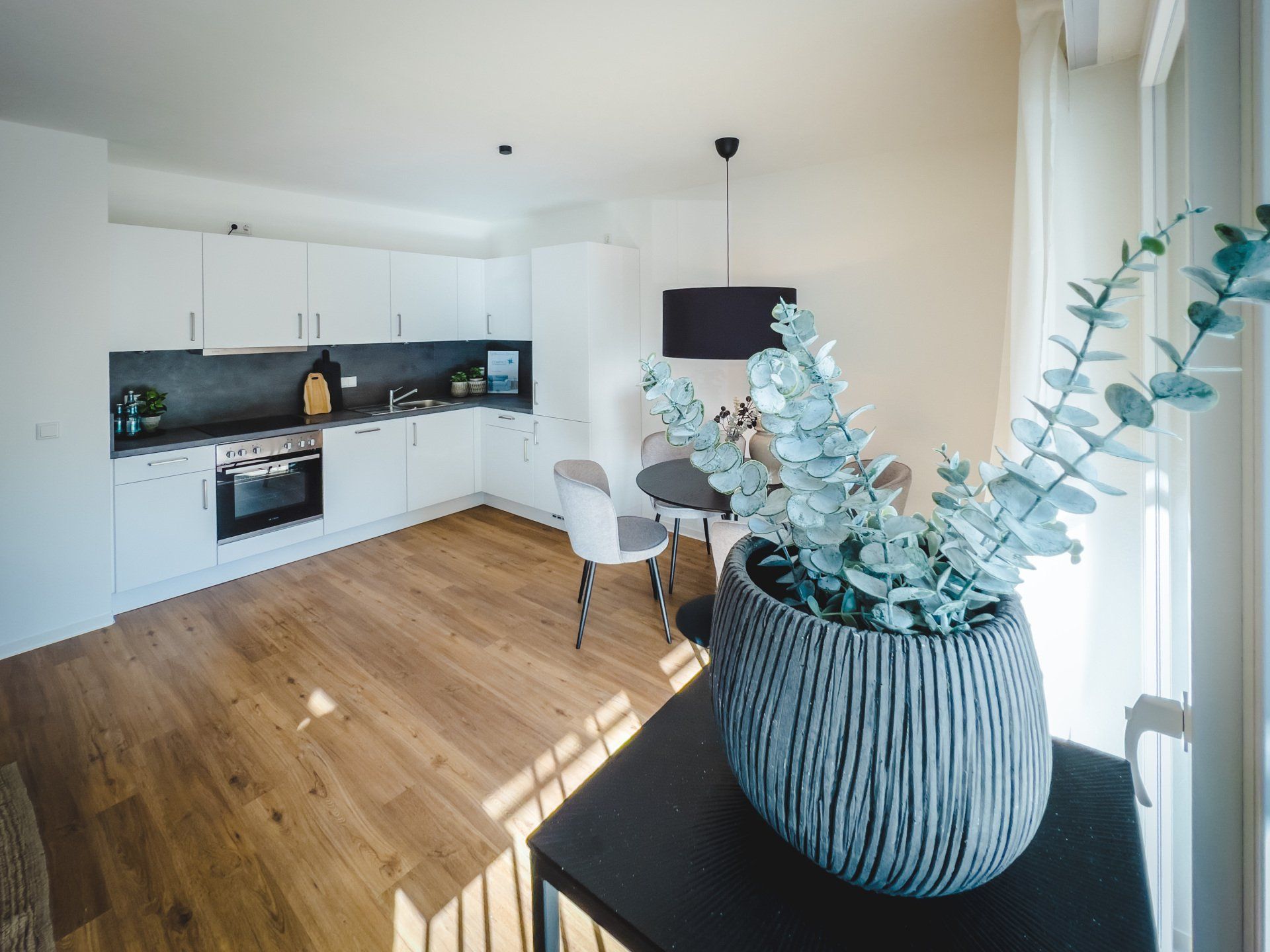 Auf einem Küchentisch steht eine Topfpflanze.