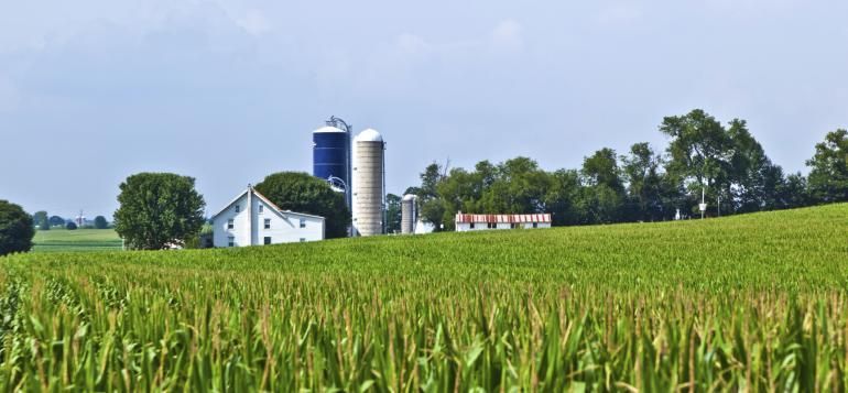 A farm with a silo and a barn in the background.