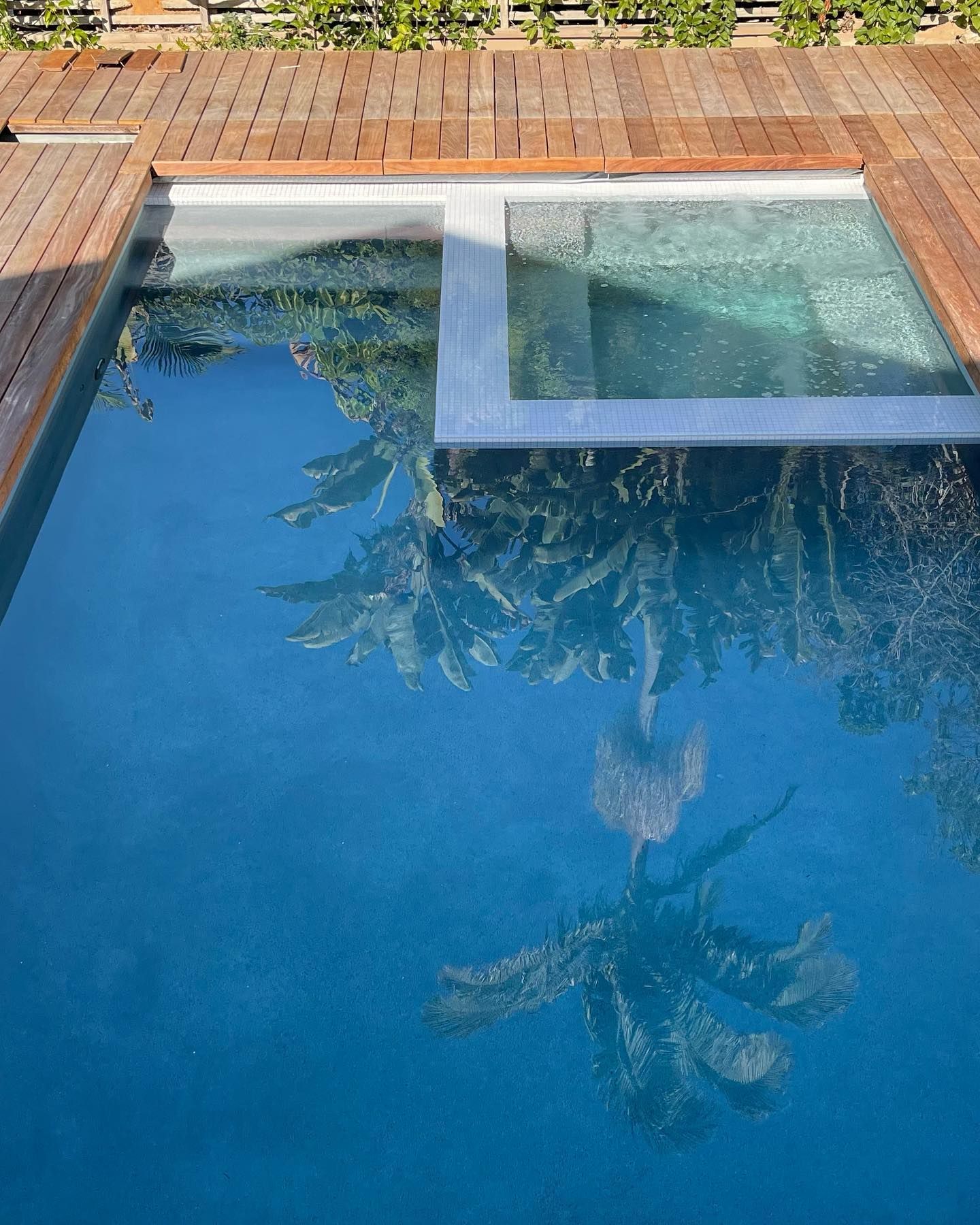 A swimming pool with a reflection of trees in the water