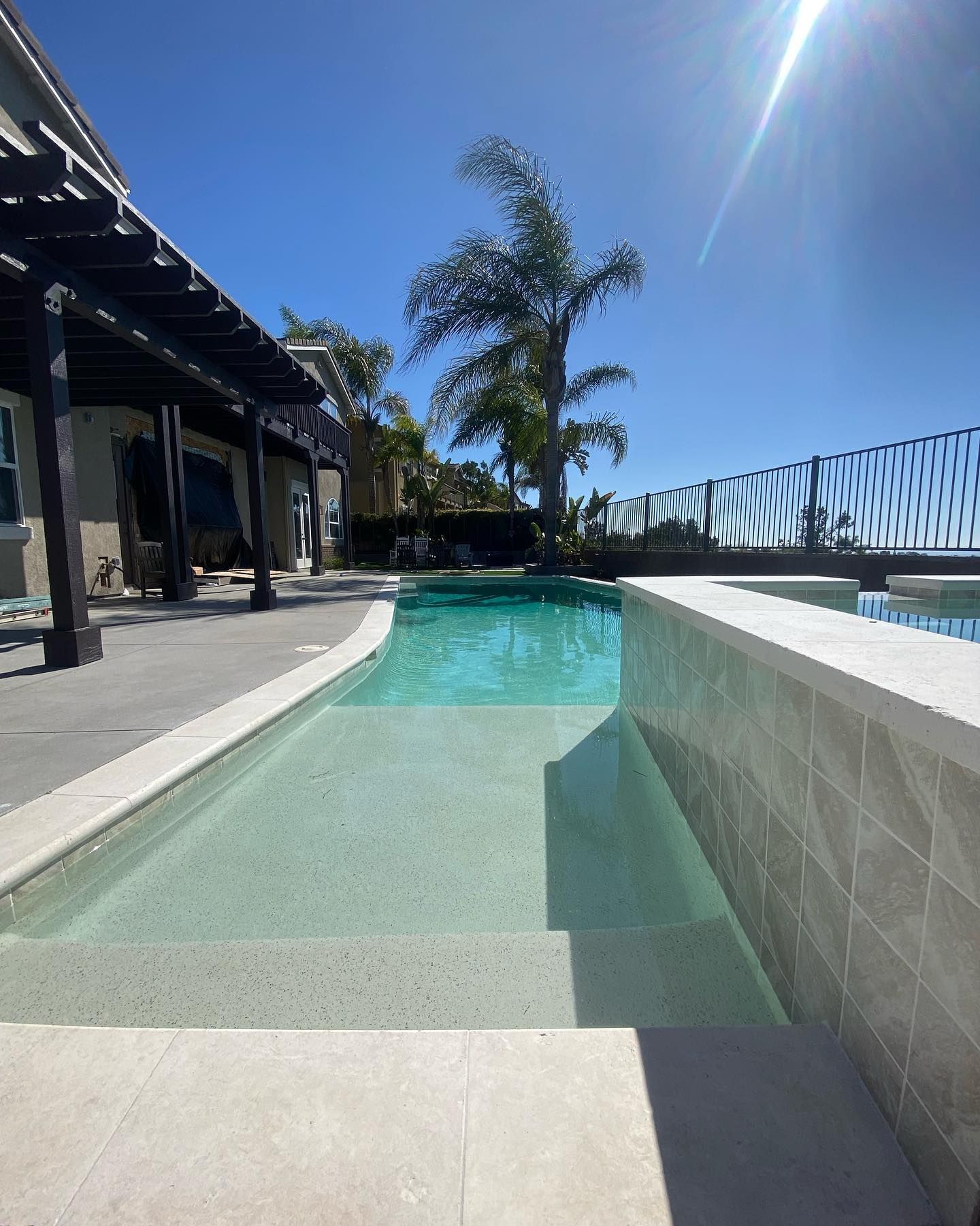 A large swimming pool with a palm tree in the background
