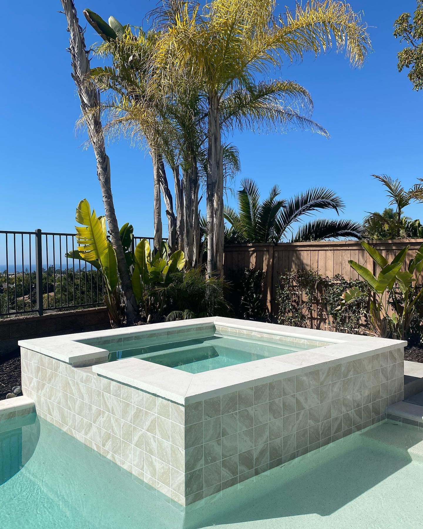 A swimming pool with a hot tub surrounded by palm trees