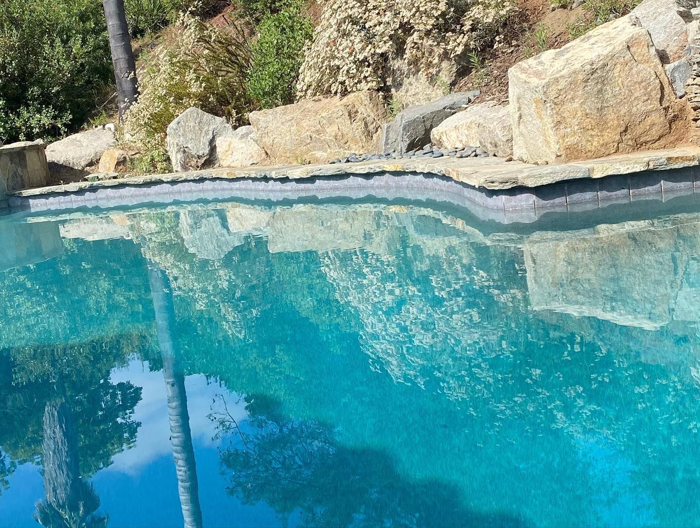A swimming pool with trees reflected in the water