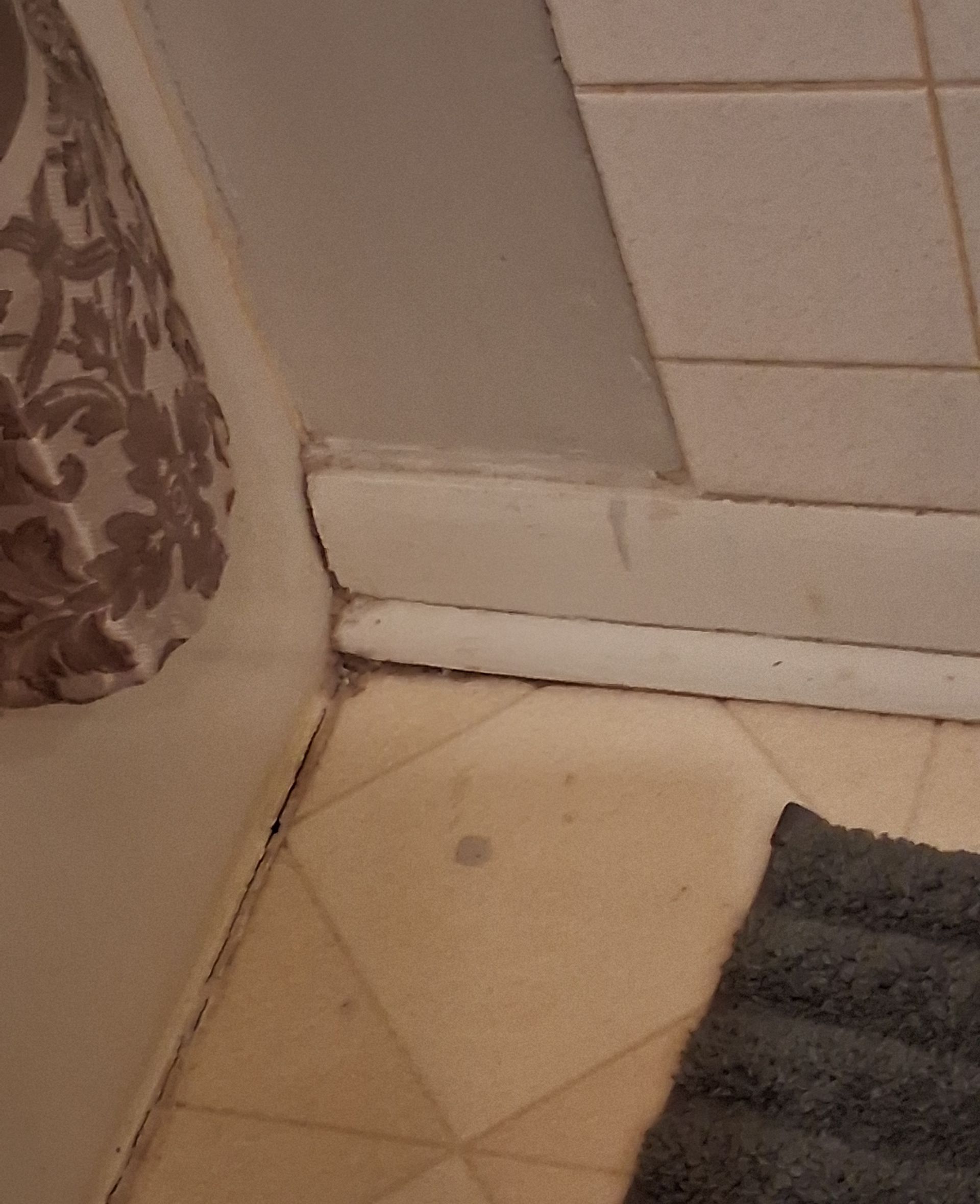 A corner of a bathroom with a rug on the floor