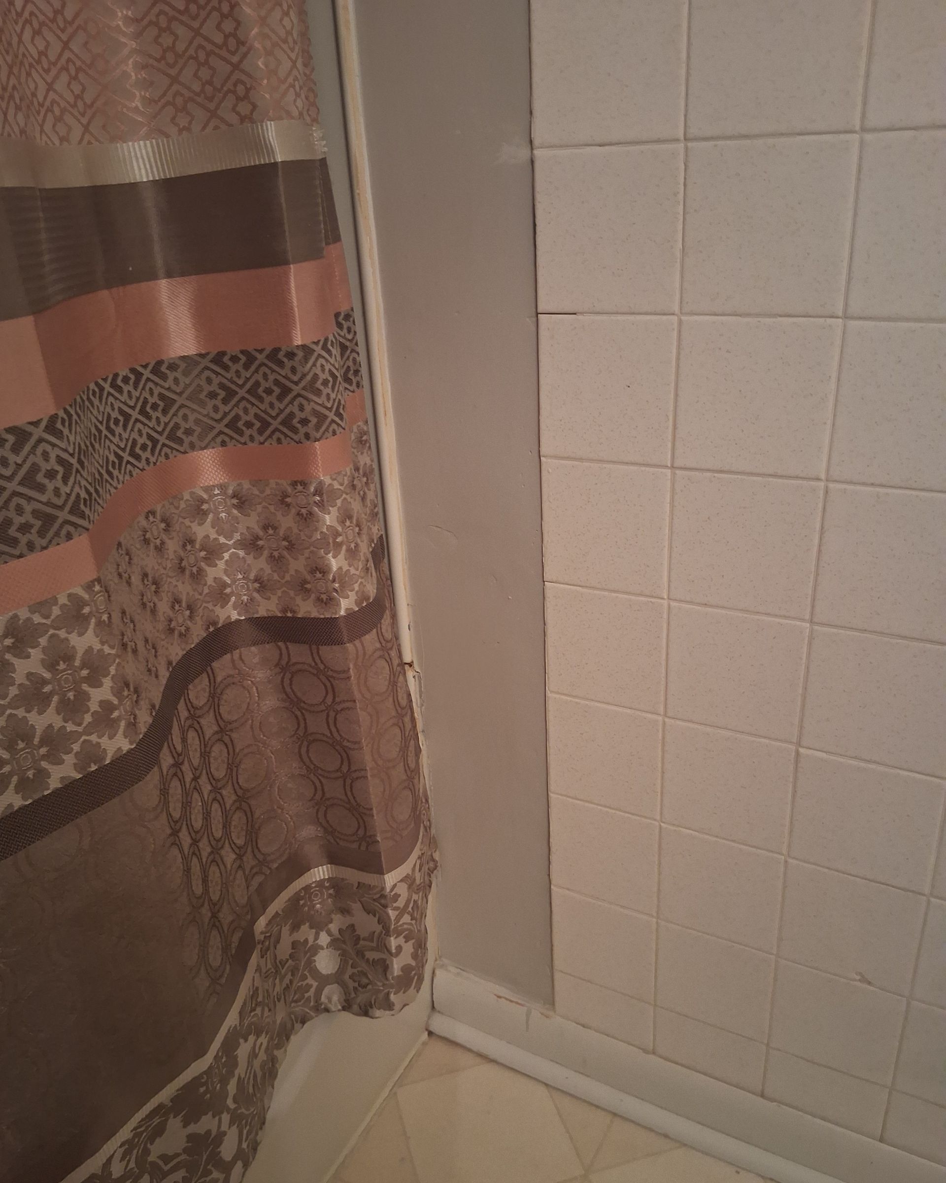 A shower curtain is hanging in a bathroom next to a tiled wall.