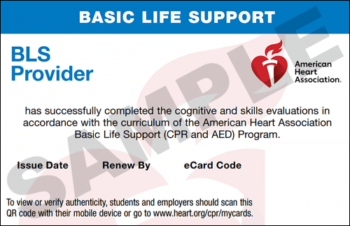 Sample Basic Life Support Certification