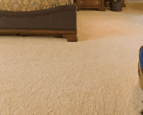 A carpet cleaned to a high standard.