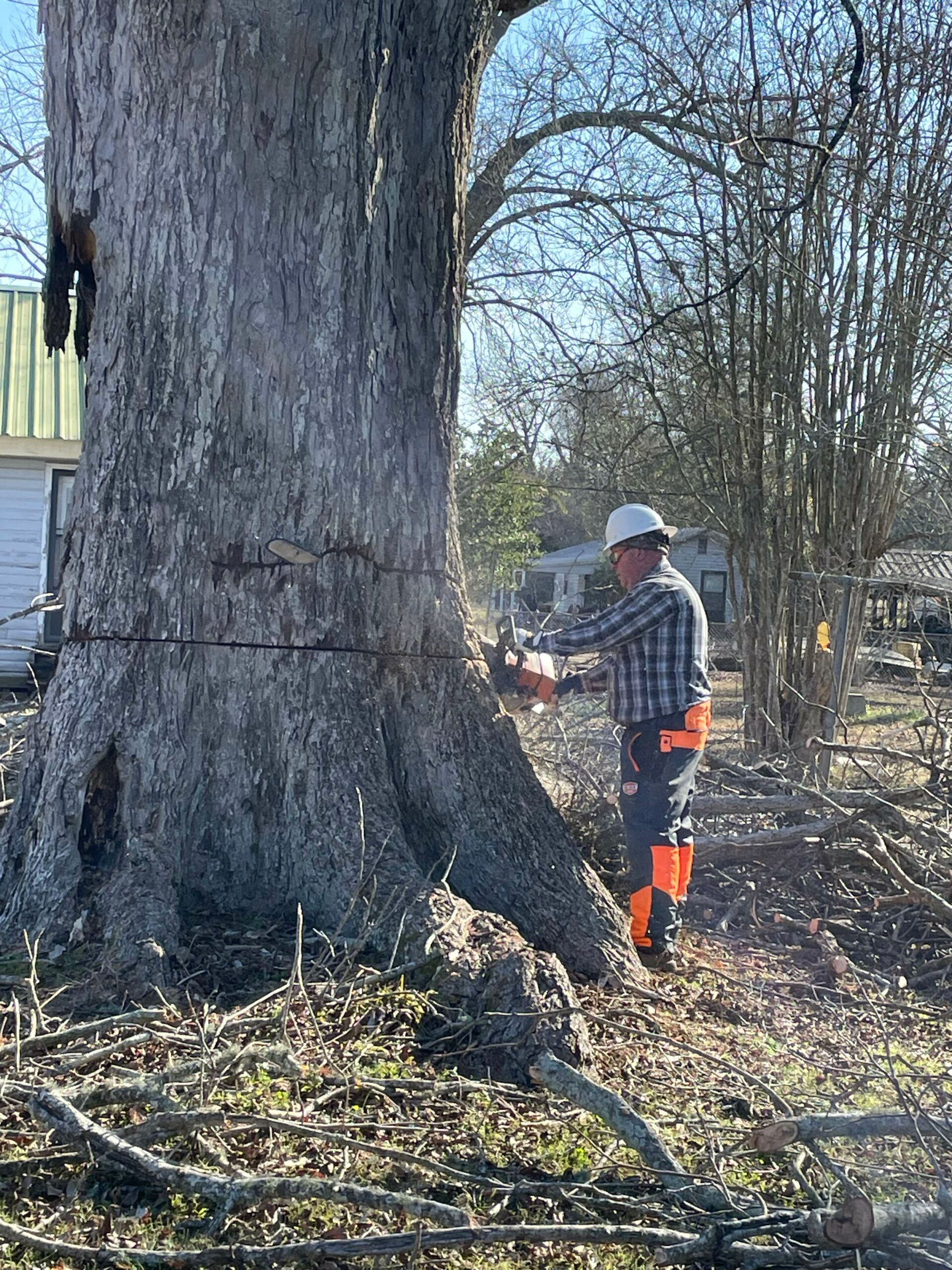 A man is cutting a tree with a chainsaw.