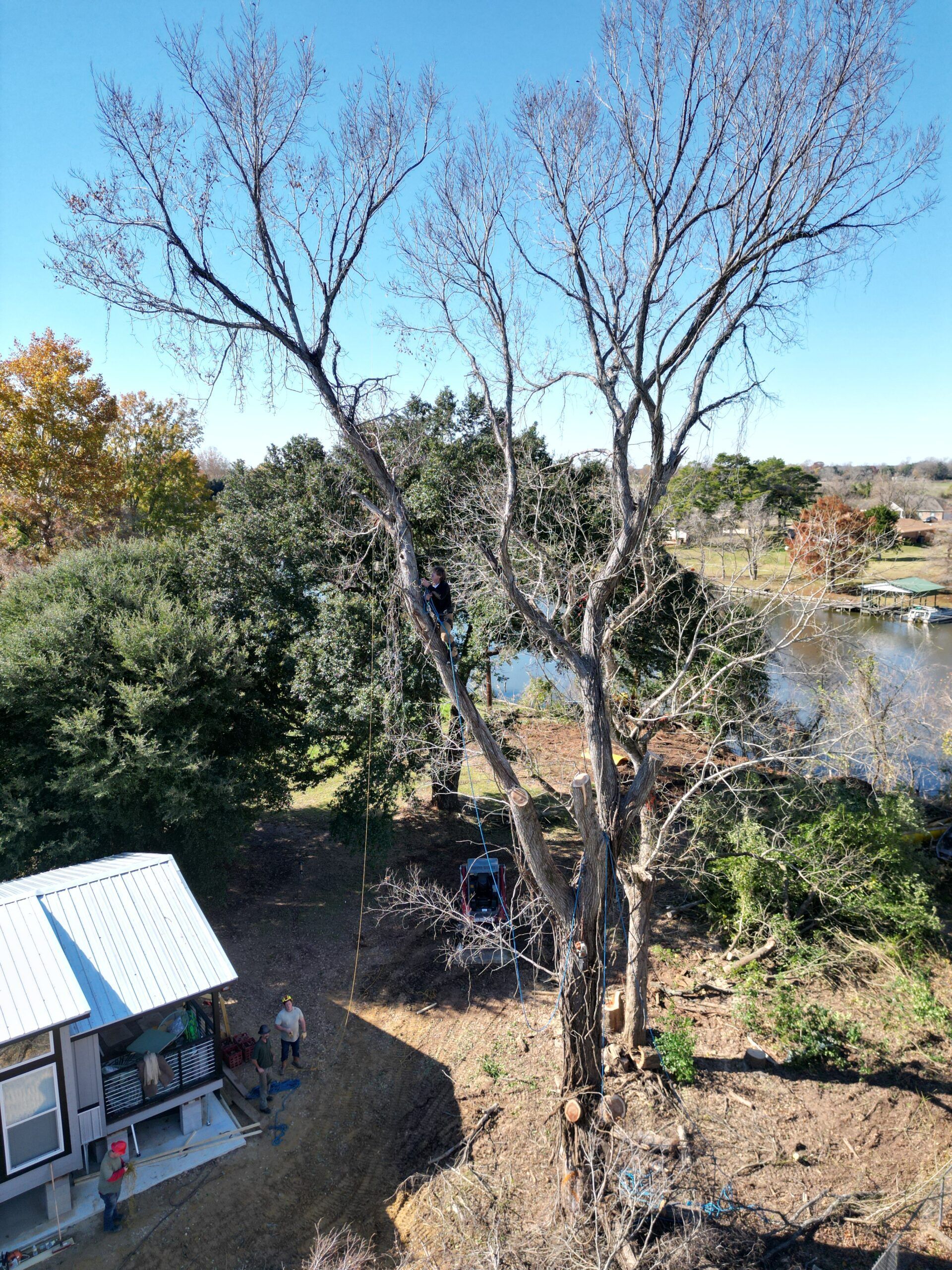 An aerial view of a tree being cut down in front of a house.