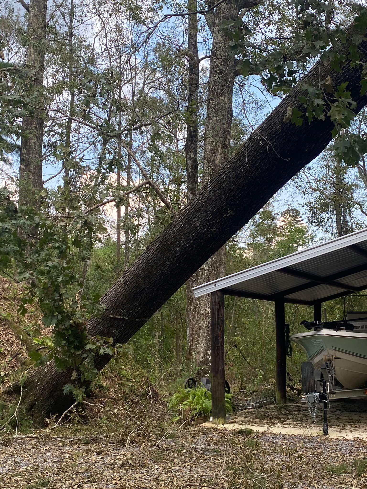 A large tree has fallen on top of a boat in a parking lot.