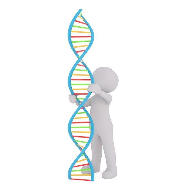 DNA Cartoon — Redlands, CA — Beloved Foundation