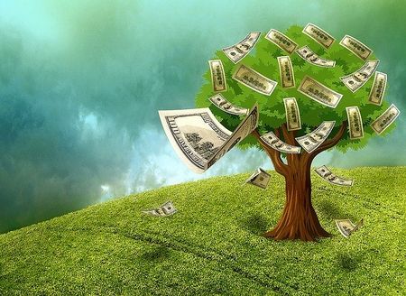 Tree Cash Concept — Redlands, CA — Beloved Foundation
