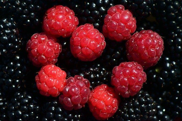 Raspberries — Redlands, CA — Beloved Foundation