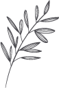 A black and white drawing of a branch with leaves on a white background.