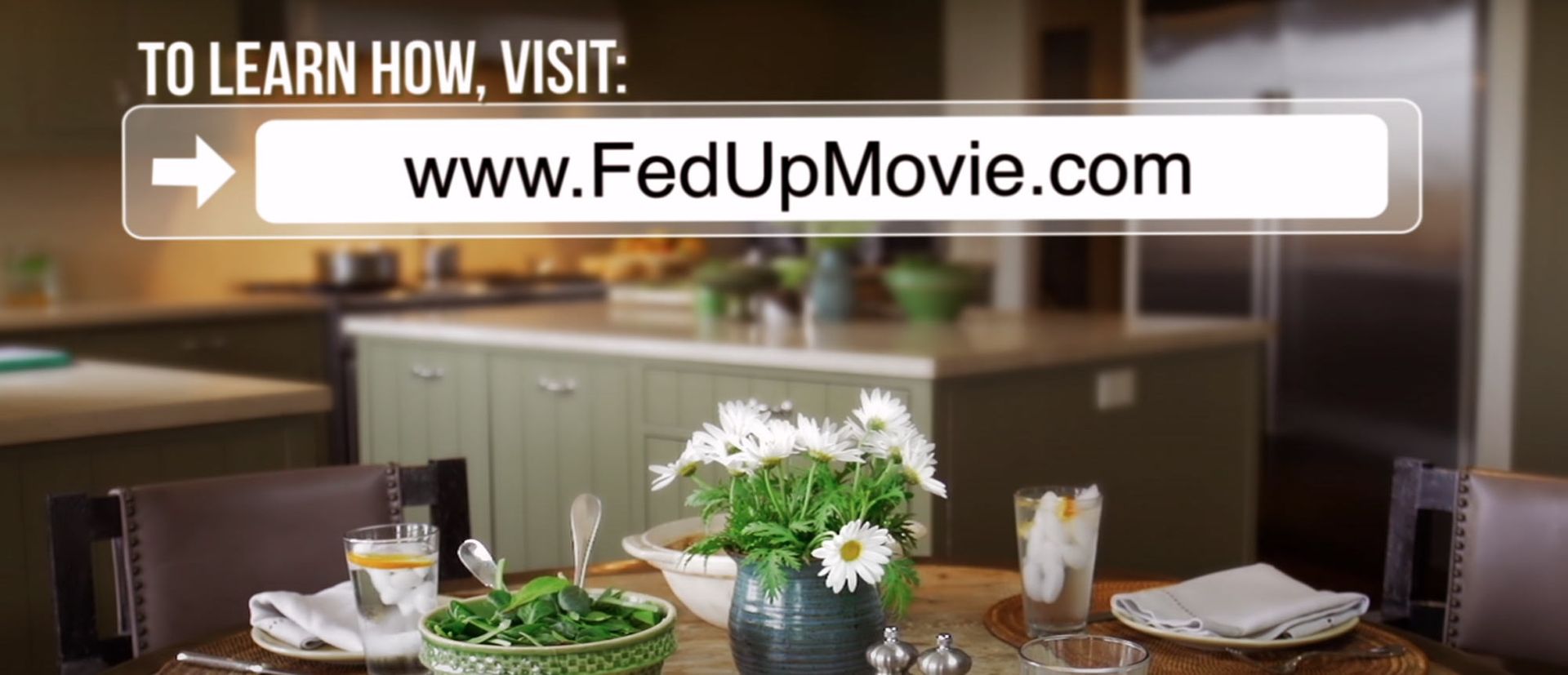 Watch The Fed Up Documentary by Katie Couric. 
