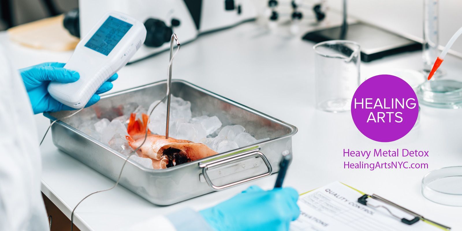 Heavy Metal Detox NYC Dr. Alicia Armitstead