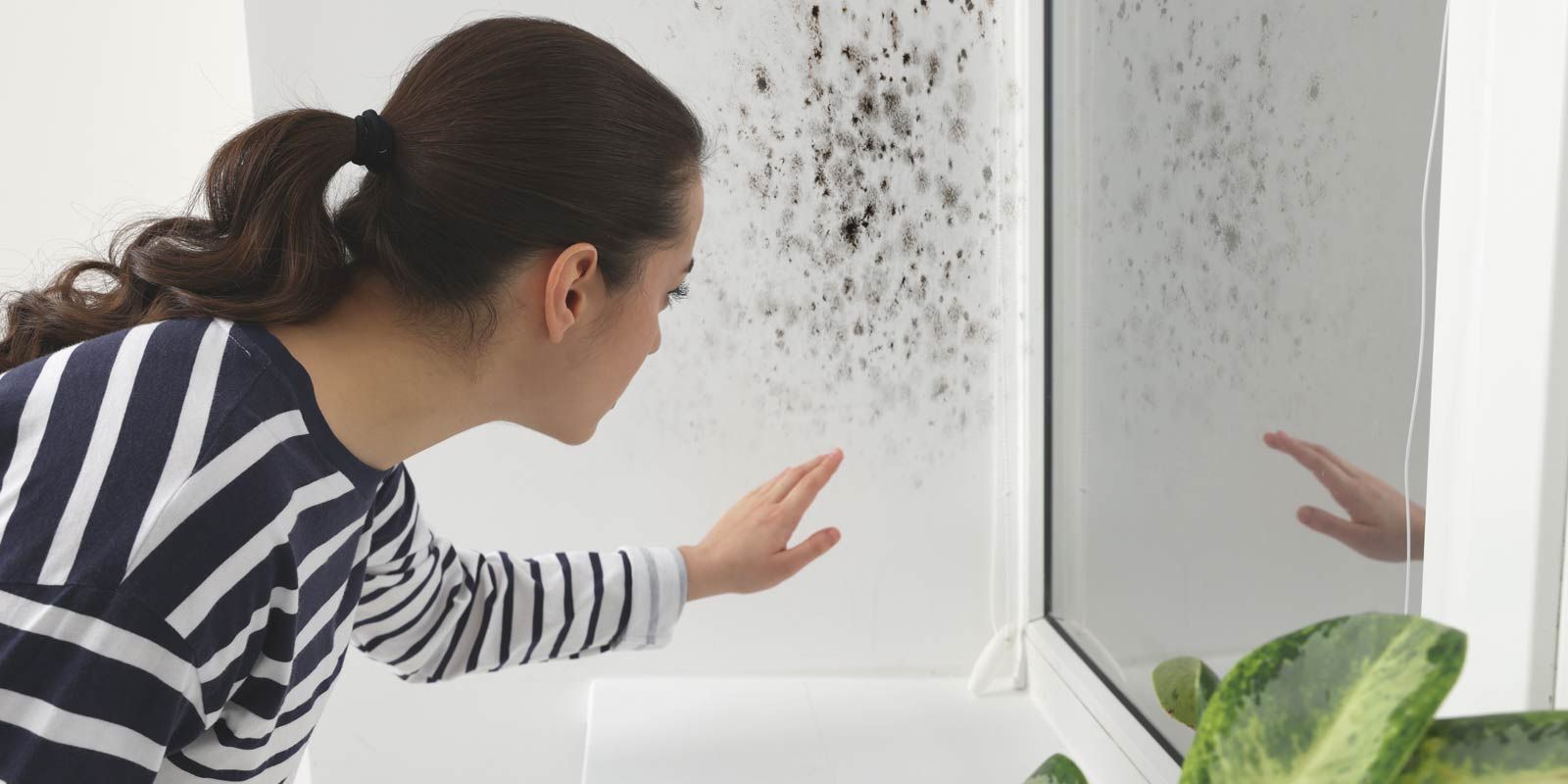 A woman is looking at a window with mold on it, needing Mold Toxicity NYC remedies by Dr. Alicia Armitstead
