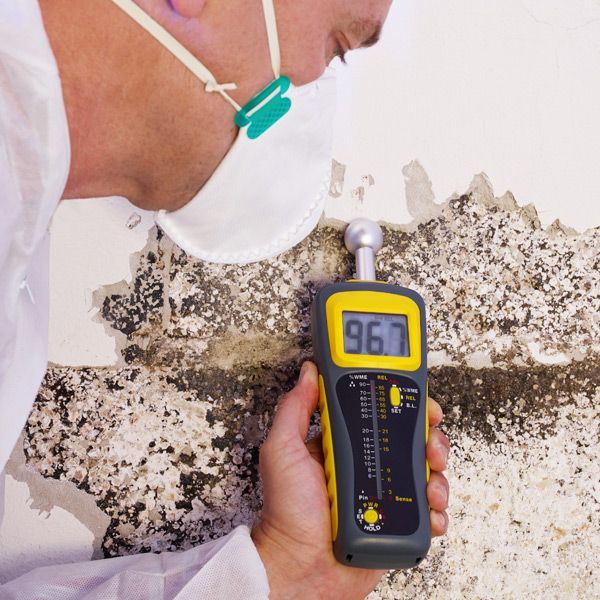 A man wearing a mask is holding a device that tests mold to determine if Natural Remedies for Mold Infections at the Healing Arts NYC Health and Wellness Center in Manhattan NY 10017 and Connecticut are needed.