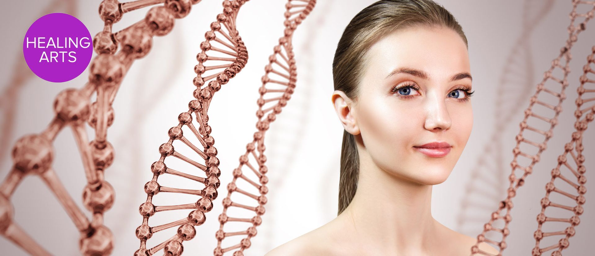 The Beauty of Stem Cell Rejuvenation. Stem cells are found throughout the body, but the other main place is in bone marrow. Once stimulated, they can go anywhere and become any new cell. They, indeed, are our internal fountain of youth.