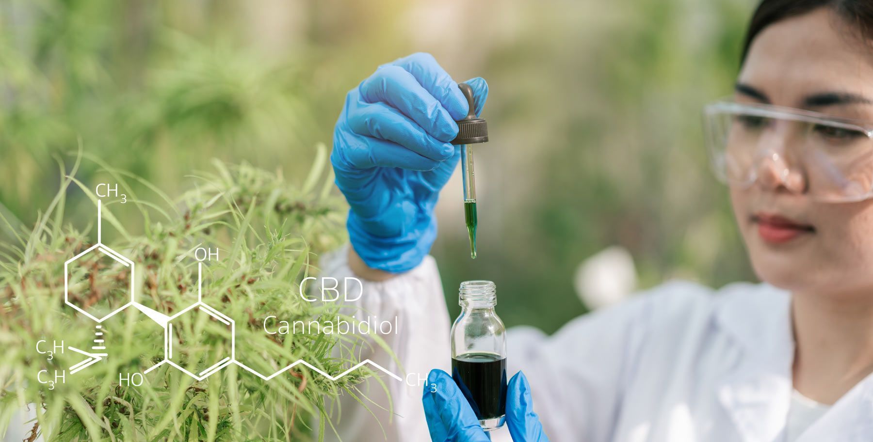 The Science Behind Hemp Oil. The Natural Health Benefits of Hemp Oil.