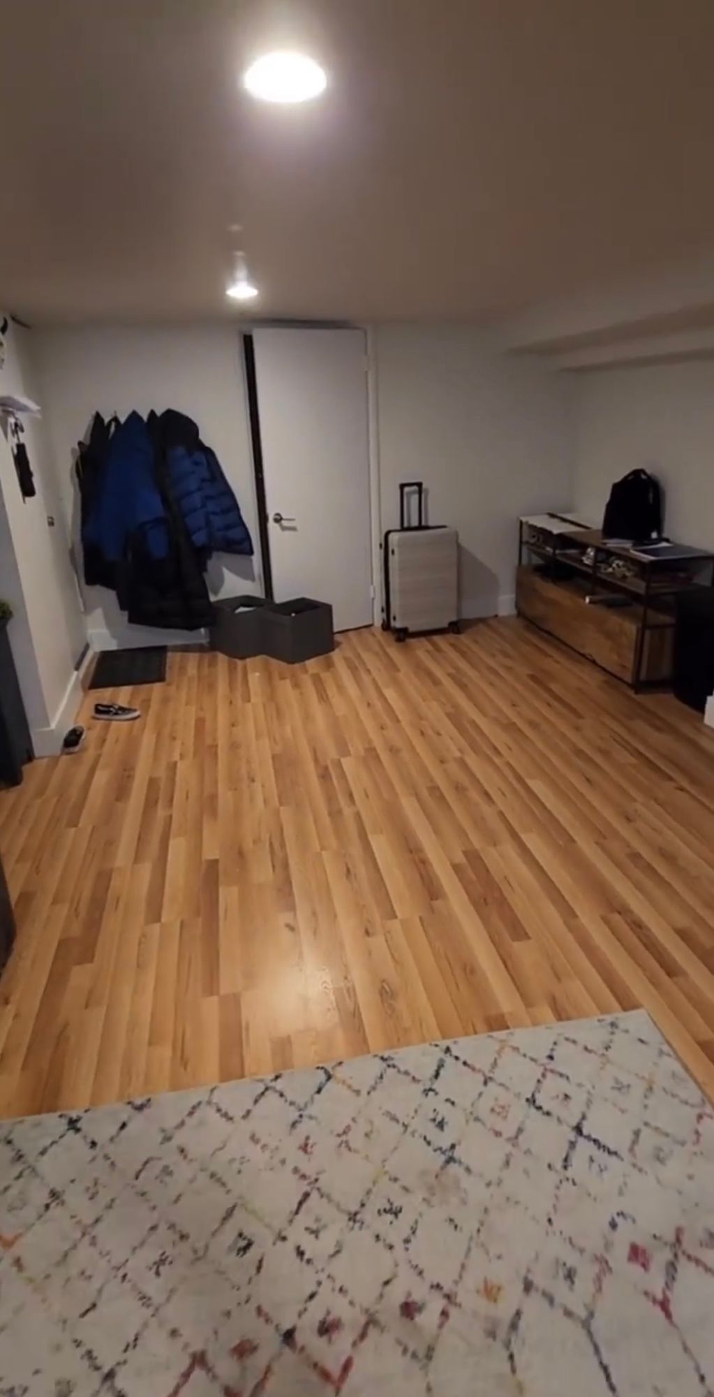 A large room with hardwood floors and a rug.