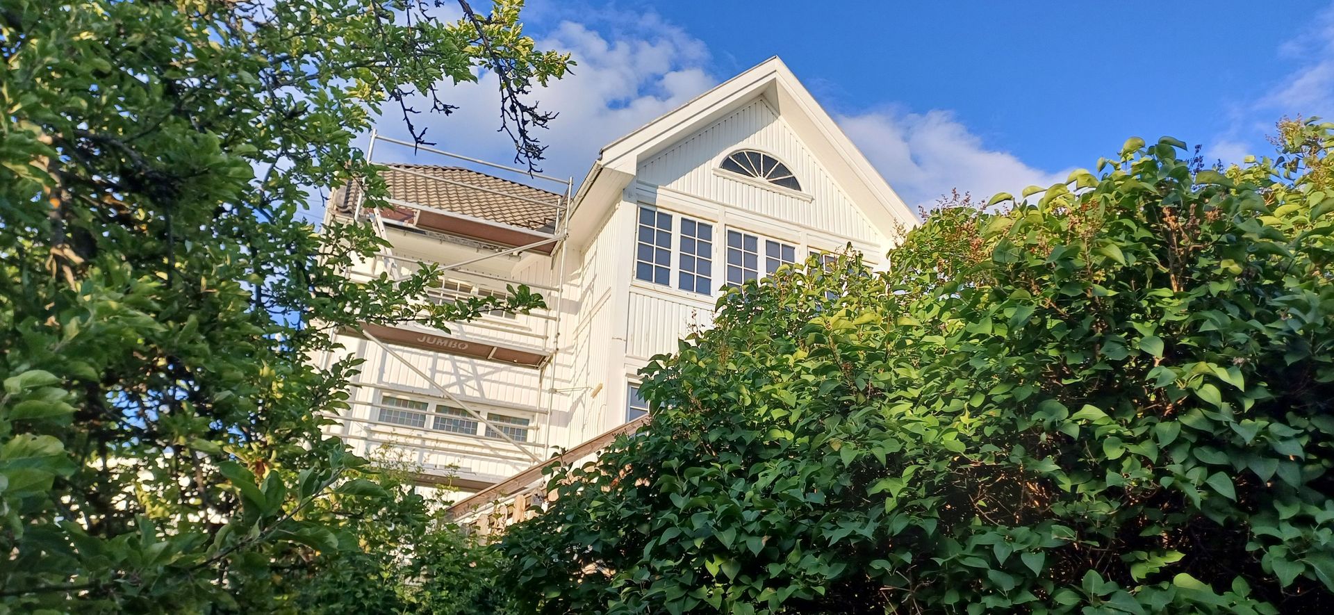 Close-up of a tile roof covered in debris and moss. A gutter is visible on the right. Green trees in the background.