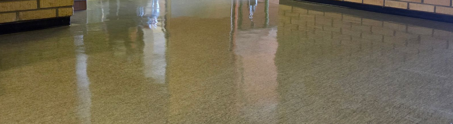 View from inside an attic, showing wooden supports over a dark shingled roof.