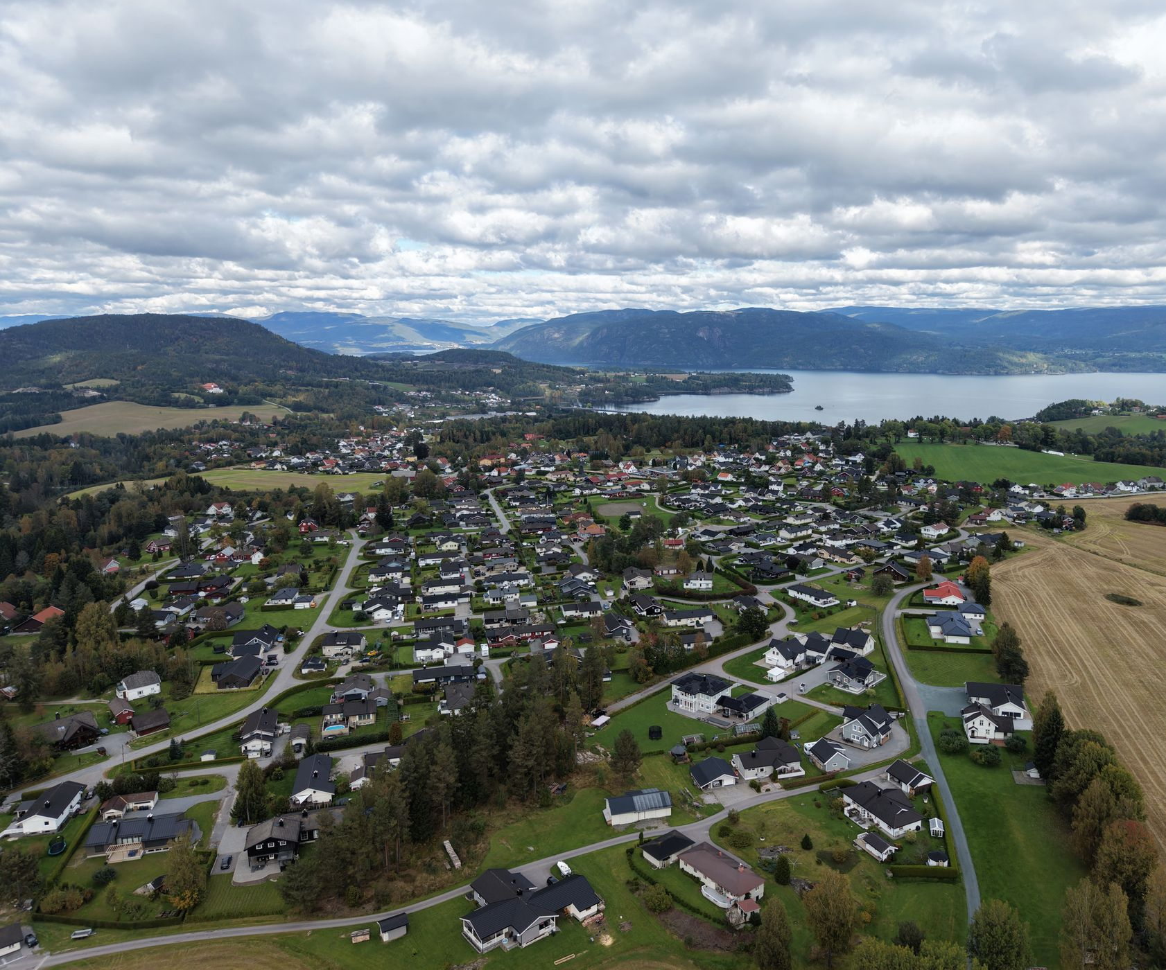 Shadows of two people on green grass.