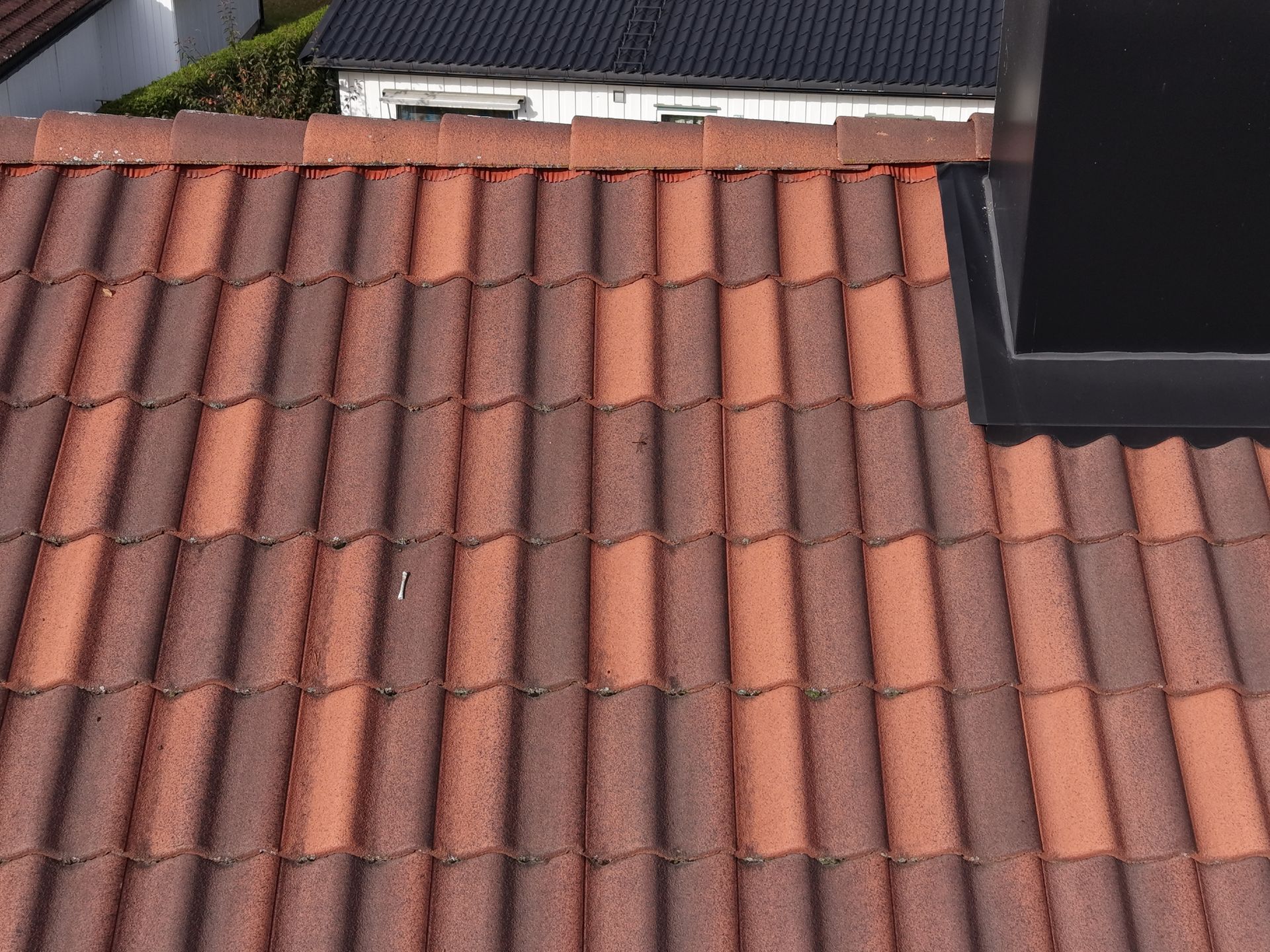 Close-up of a tile roof covered in debris and moss. A gutter is visible on the right. Green trees in the background.