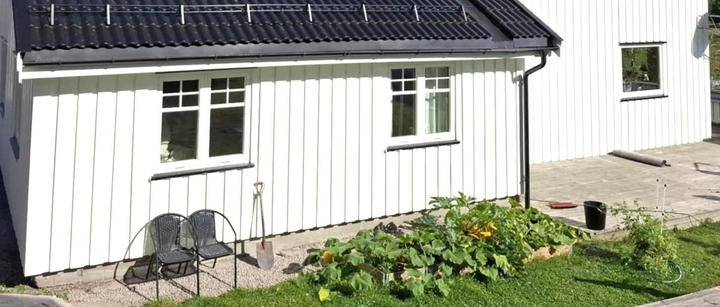 Two side-by-side images of a roof. One is clean and the other is covered in moss. Blue sky on the left.