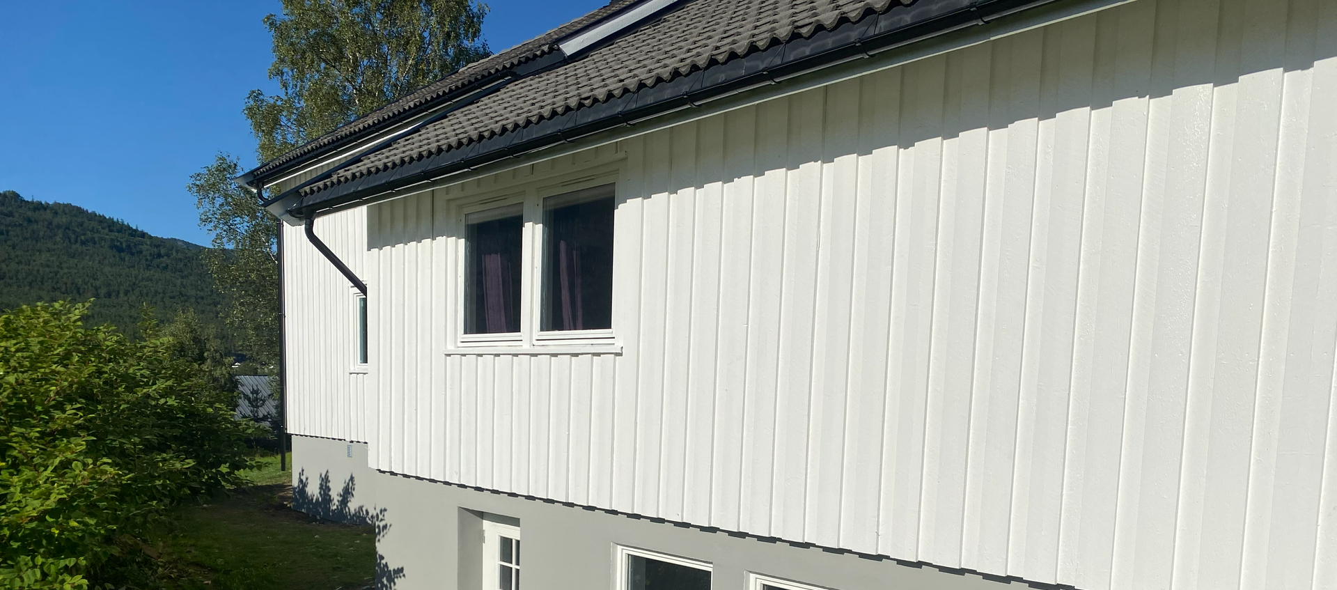 Close-up of a tile roof covered in debris and moss. A gutter is visible on the right. Green trees in the background.