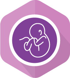FertilityEHR  Icon