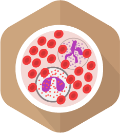 Hematology icon Oncology Icon