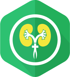 Nephrology Icon