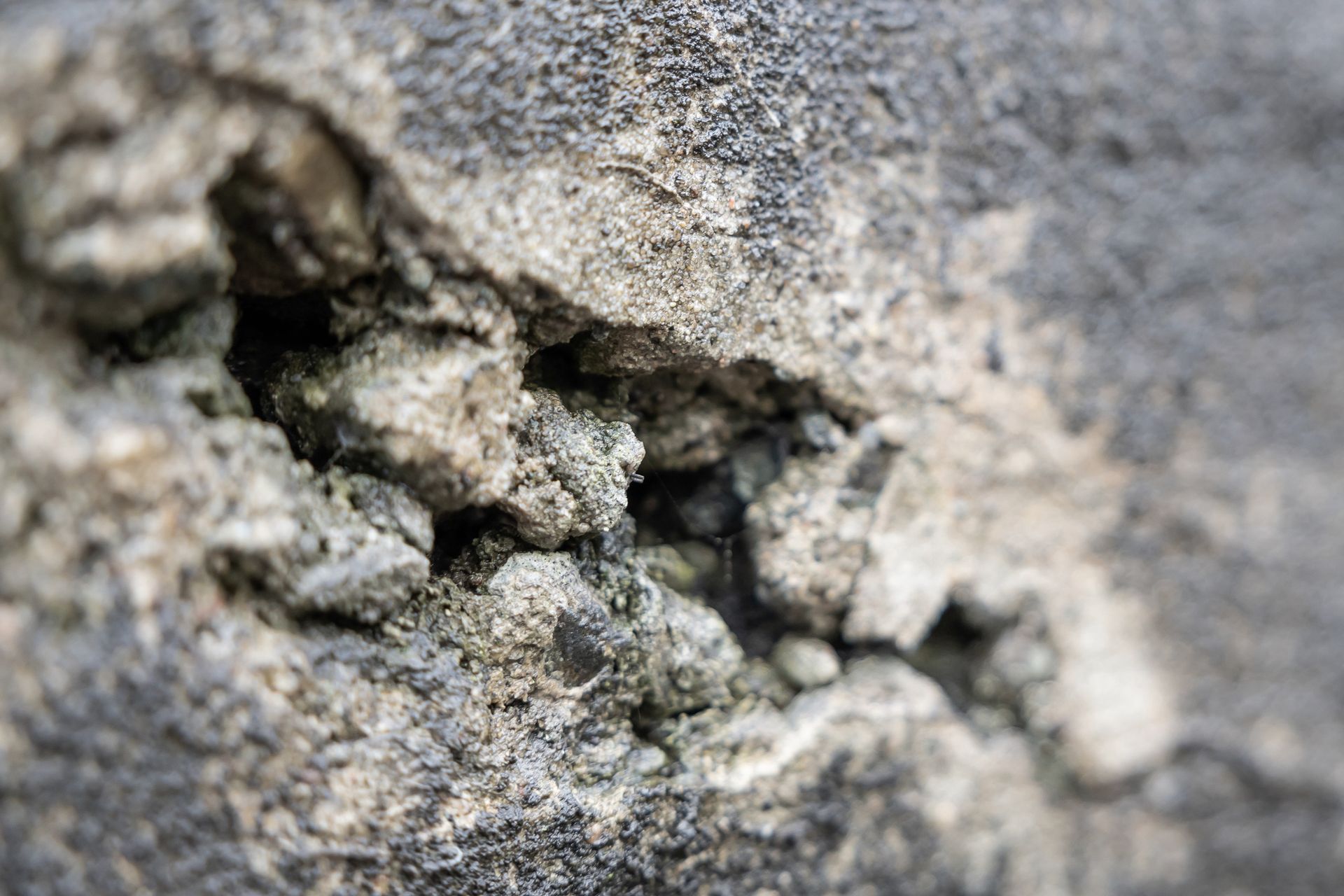 Person in white protective suit, examining soil with a trowel.