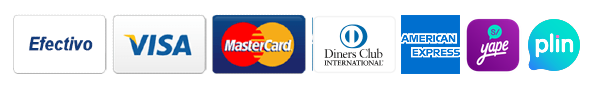 Una fila de logotipos de tarjetas de crédito, incluidas Visa y MasterCard.