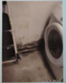 Mold growth on a basement wall near a washing machine.