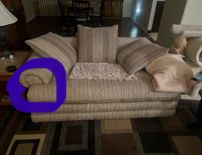 A couch with a purple circle around it in a living room