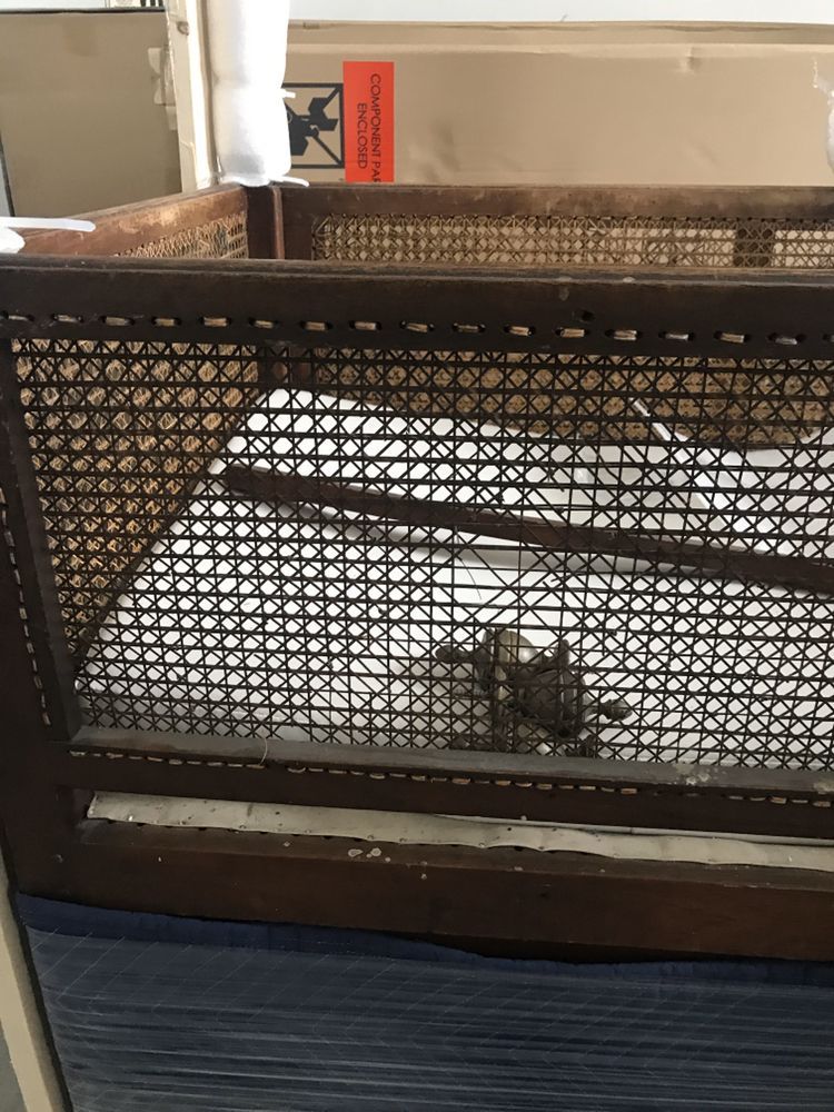 A small animal is sitting in a cage with a red sticker on it.