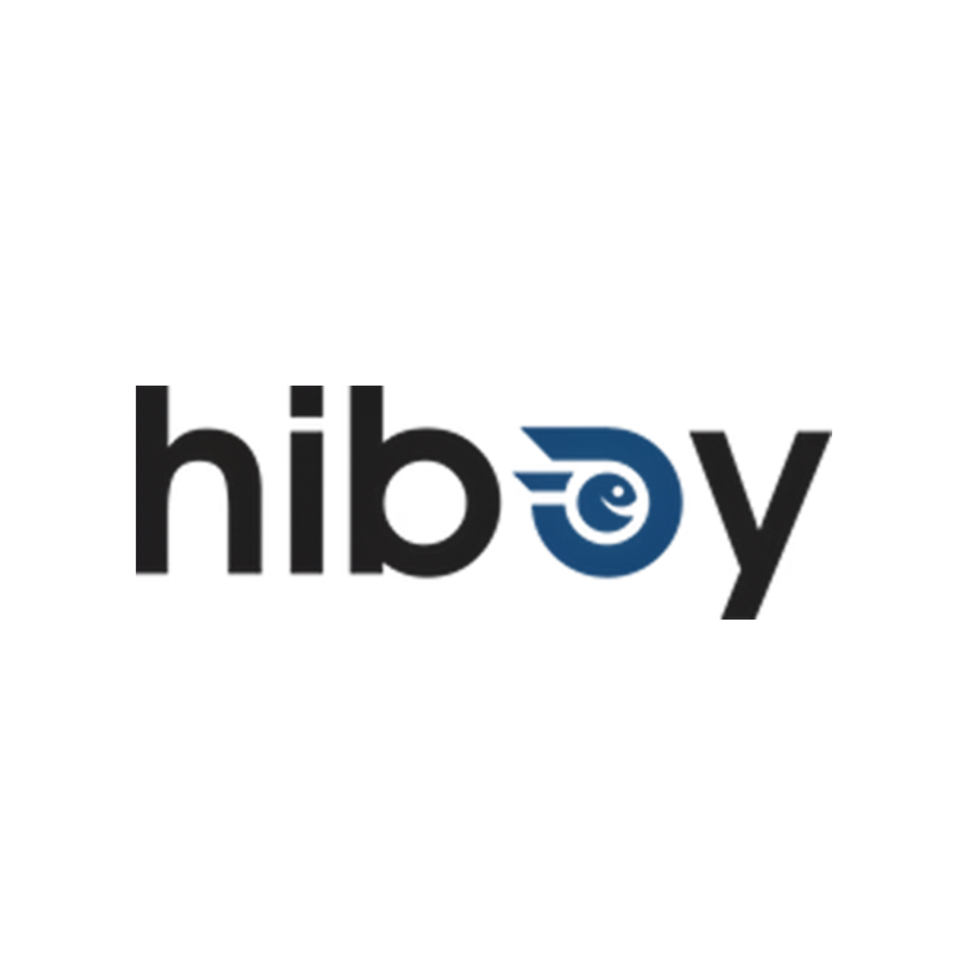 Hiboy logo, black text, blue stylized eye in the