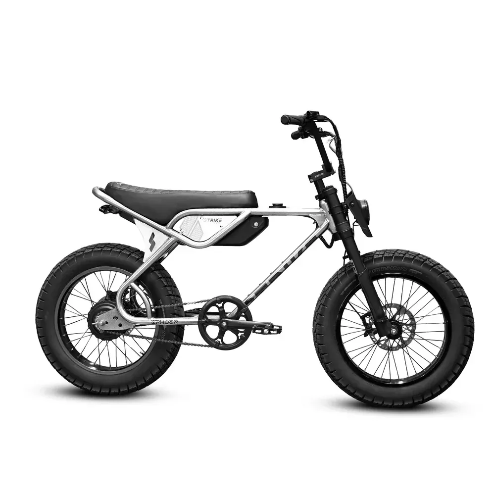 Silver and black electric bike with a motorcycle-like design.